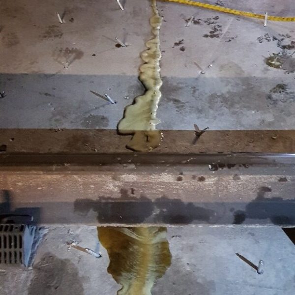 WhatsApp Image 2021-04-02 at 23.45.31 (10)