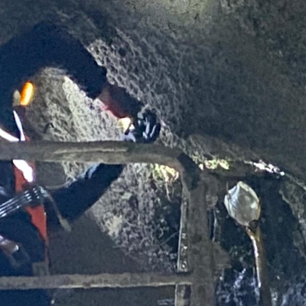 WhatsApp Image 2021-05-10 at 10.35.49